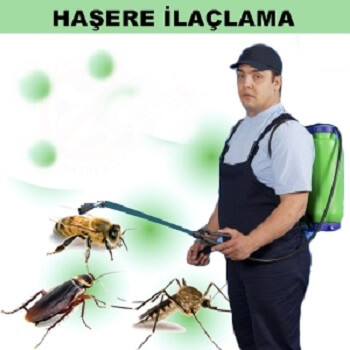 Lüleburgaz Böcek İlaçlama
